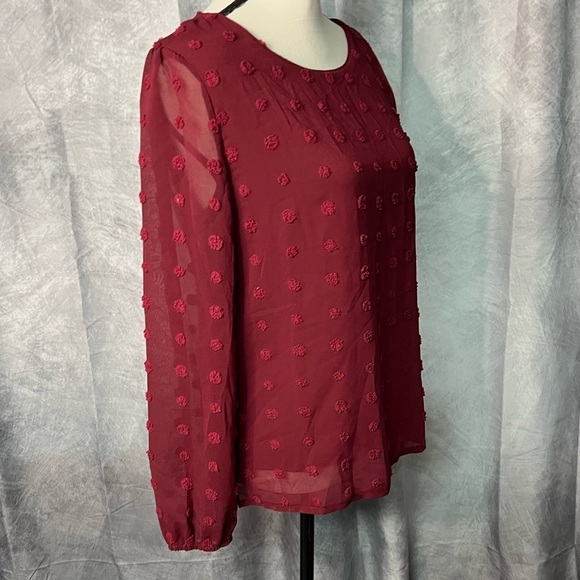 Qearal Burgundy Chiffon Sheer Sleeve Top With Embroidered Polka Dots - Small - Picture 4 of 10